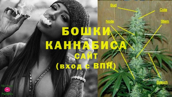 кокс Белокуриха
