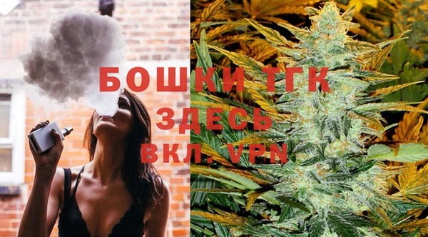 кокс Белокуриха