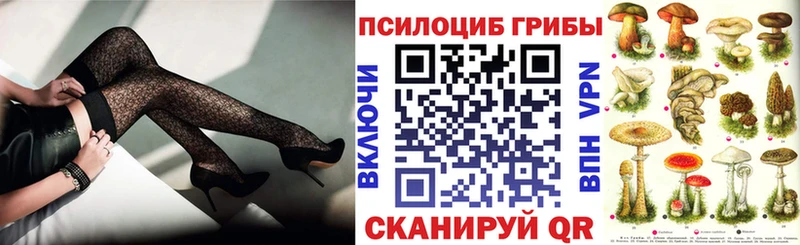 Псилоцибиновые грибы мицелий  OMG ссылка  Пятигорск  купить наркотик 
